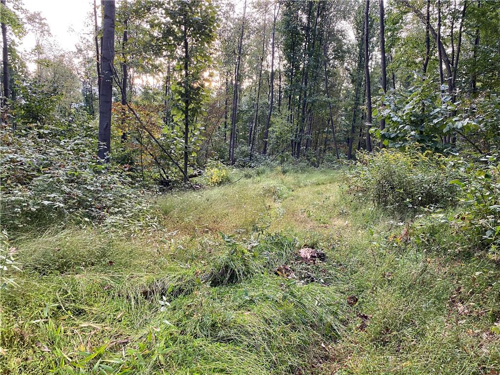 0 Imel Road Normalville, PA 15469 - Photo 5 of 25 a view of outdoor space and green space
