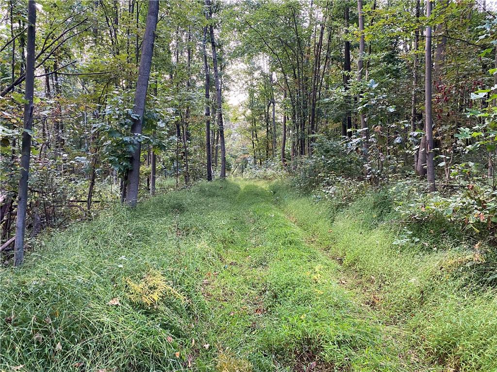 0 Imel Road Normalville, PA 15469 - Photo 7 of 25 a large yard with lots of green space and trees