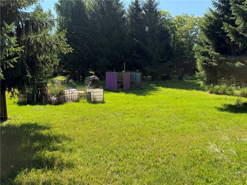 832 Moscow Road Hamlin, NY 14464 - Photo 48 of 48