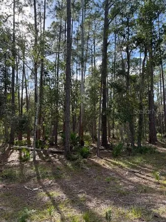 $23,900 | 207 Ocala Court, Georgetown, FL 32139