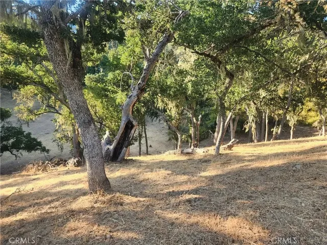 $9,000 | 2263 Lariat Loop, Bradley, CA 93426