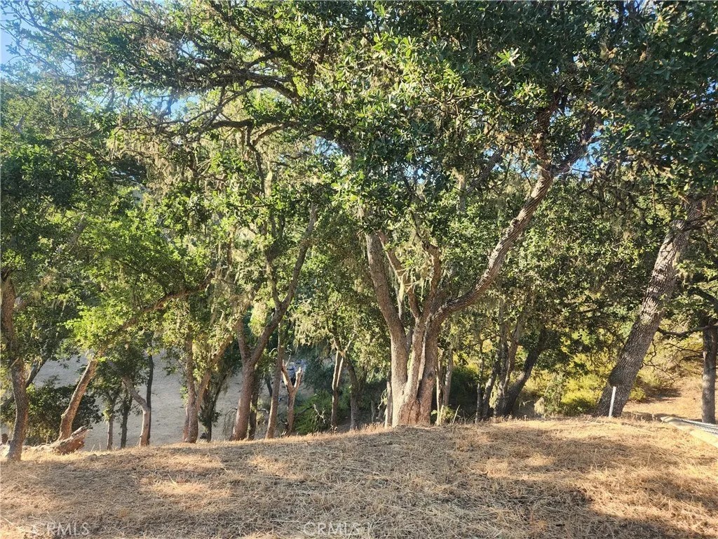 2263 Lariat Loop Bradley, CA 93426 - Photo 2 of 6