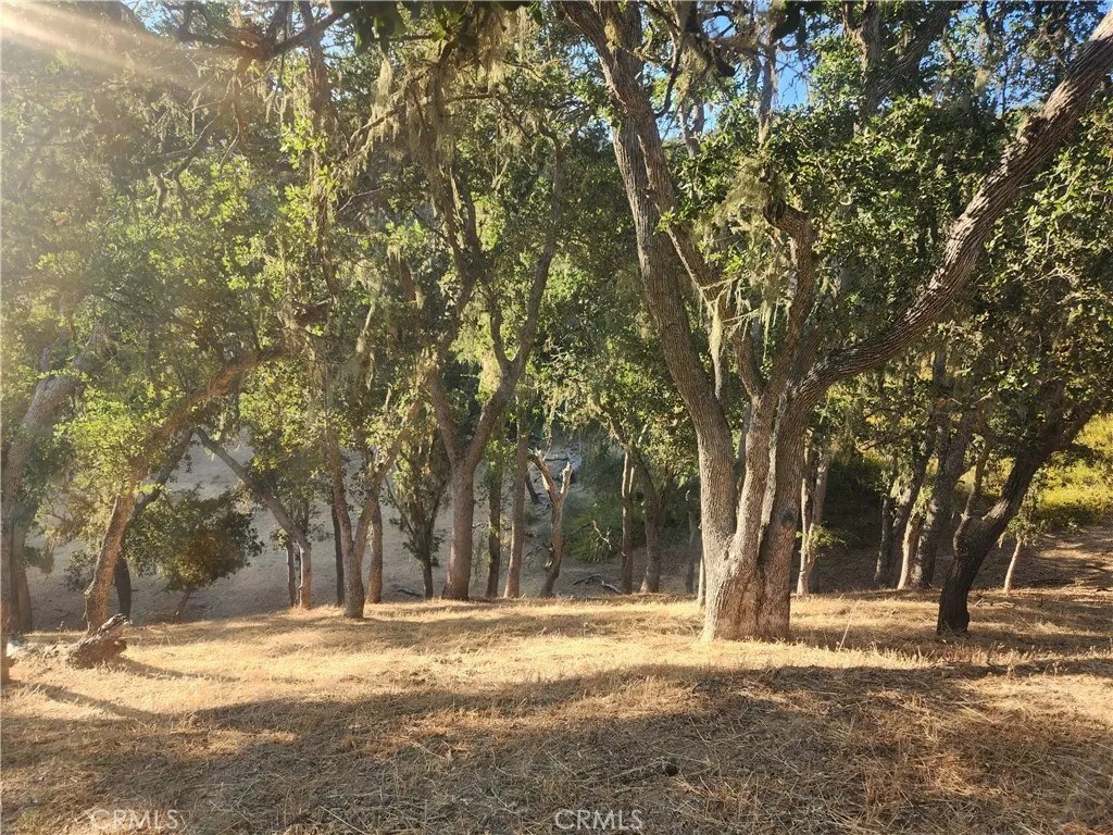 2263 Lariat Loop Bradley, CA 93426 - Photo 3 of 6