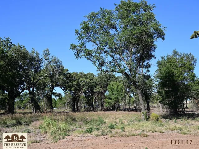 a view of a yard with plants and trees