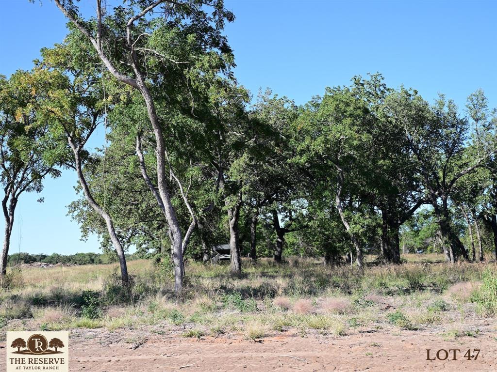 Lot 47 Colt Road Springtown, TX 76082 - Photo 3 of 14 a view of a forest filled with trees
