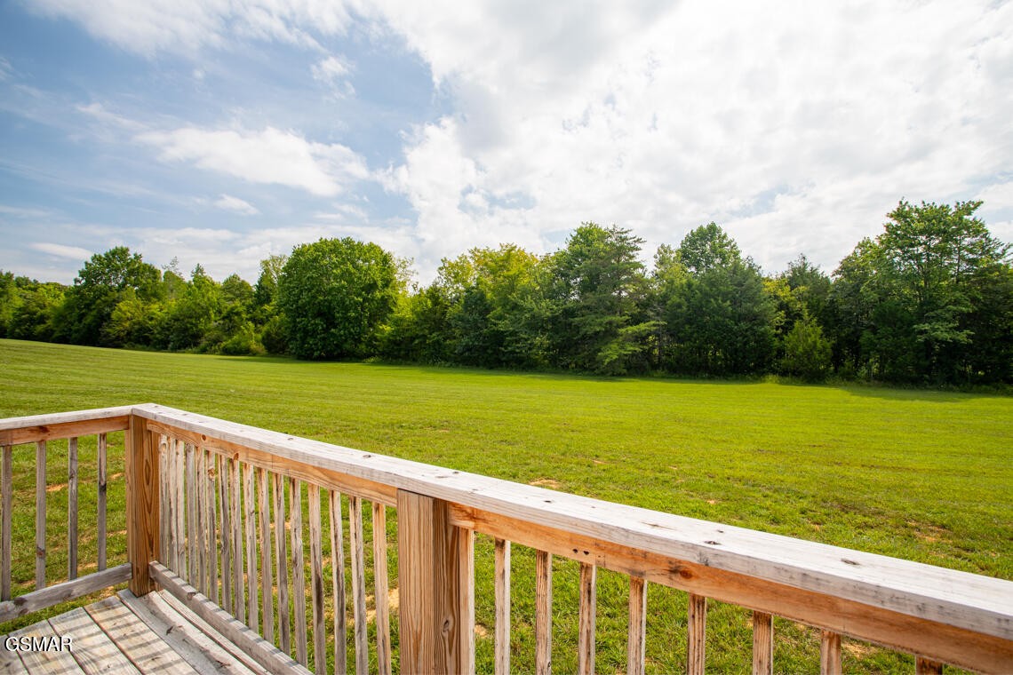 322 Harrison Ferry Road White Pine, TN 37890 - Photo 5 of 39