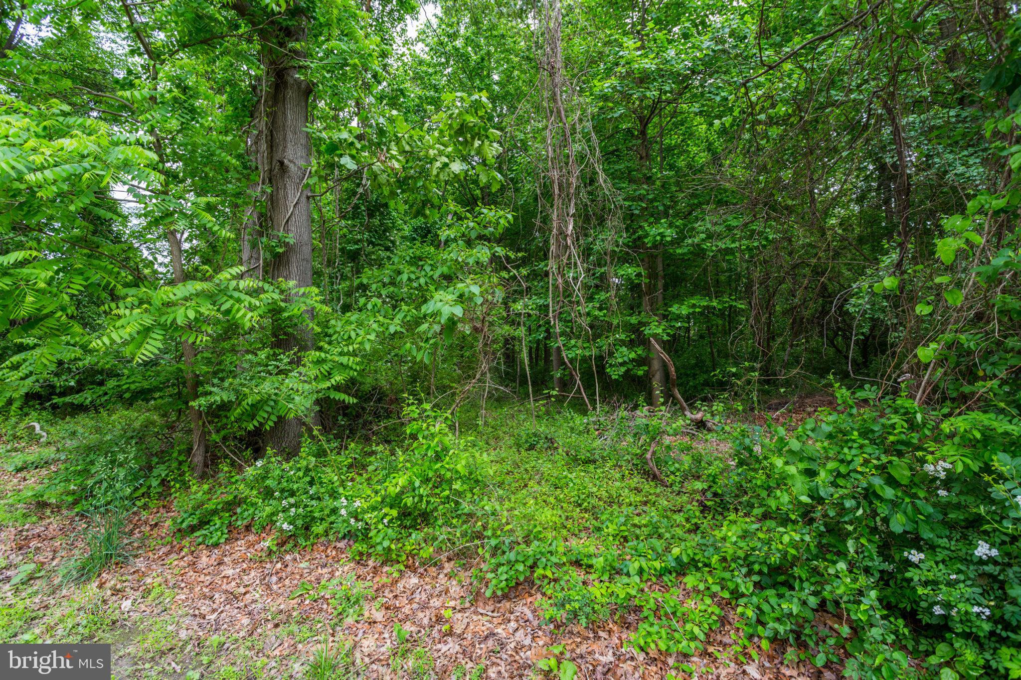 5211 Green Bridge Road Dayton, MD 21036 - Photo 2 of 6 Gallery Image 2