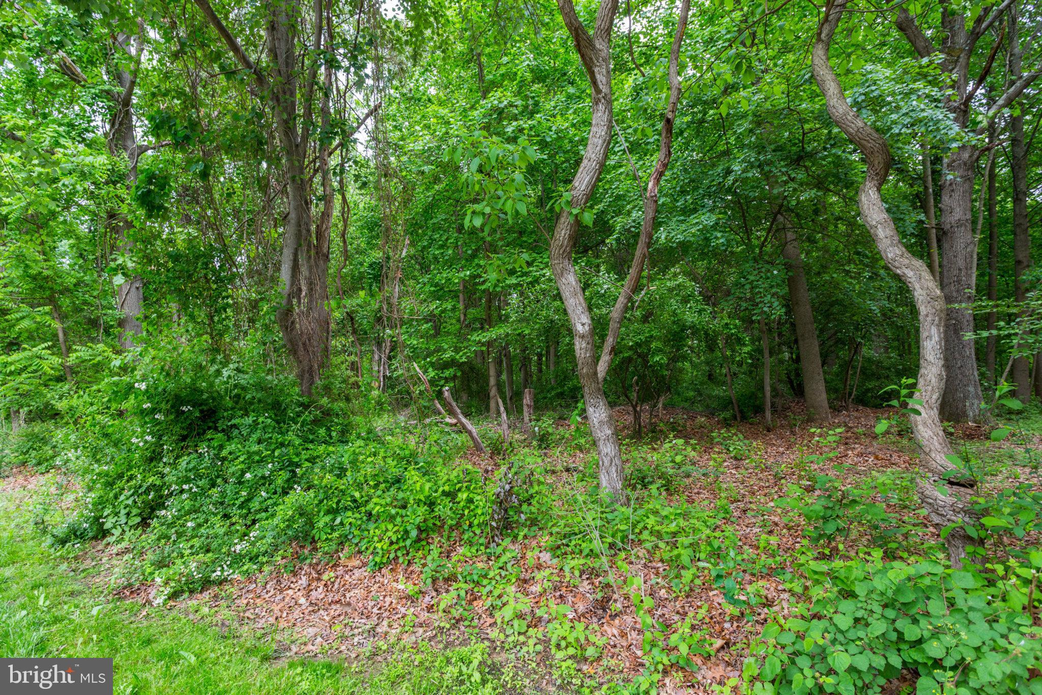 5211 Green Bridge Road Dayton, MD 21036 - Photo 3 of 6 Gallery Image 3