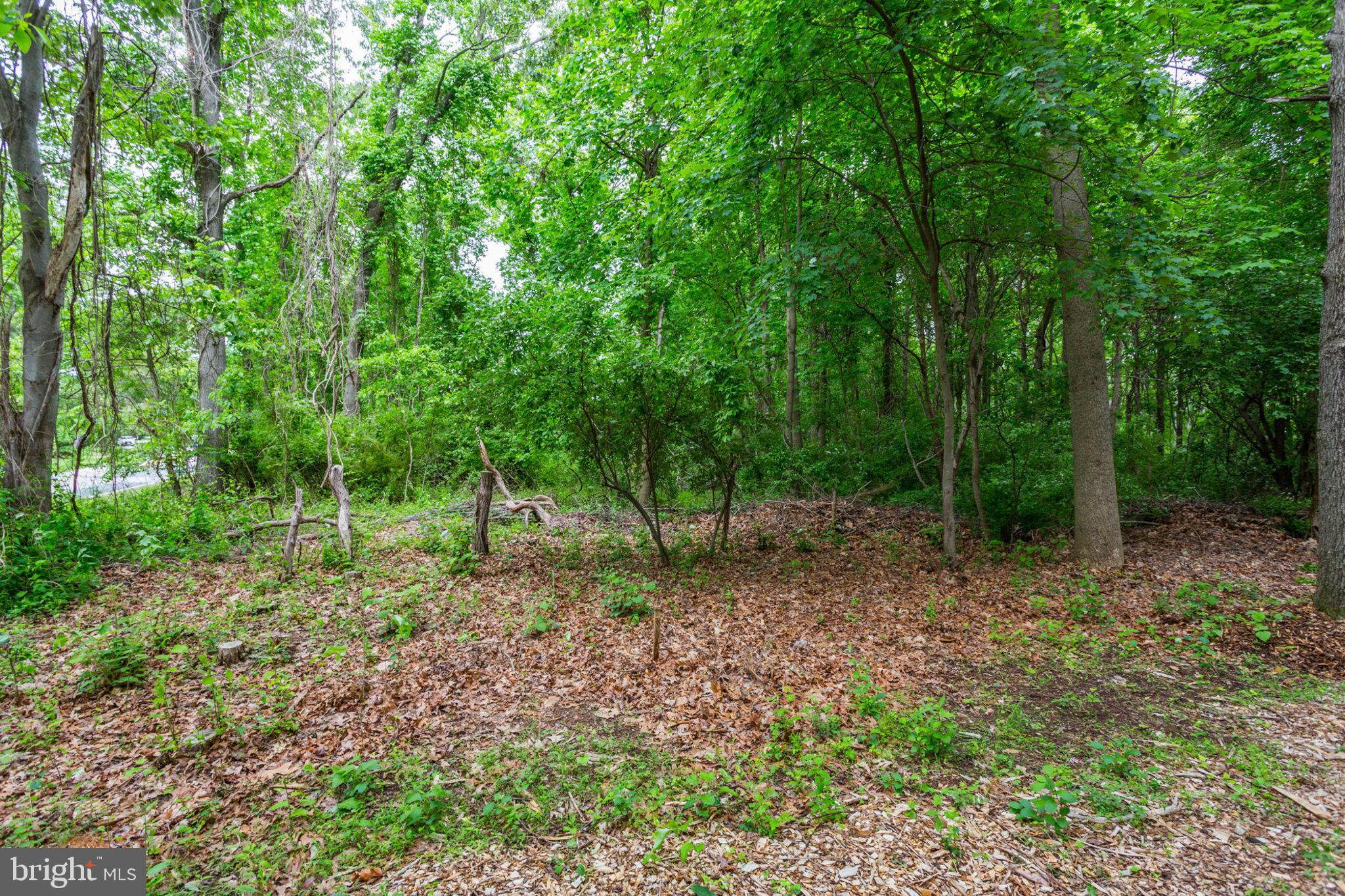 5211 Green Bridge Road Dayton, MD 21036 - Photo 4 of 6 Gallery Image 4