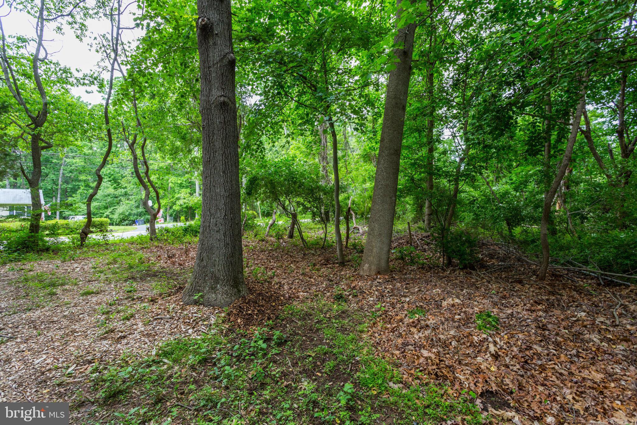 5211 Green Bridge Road Dayton, MD 21036 - Photo 5 of 6 Gallery Image 5