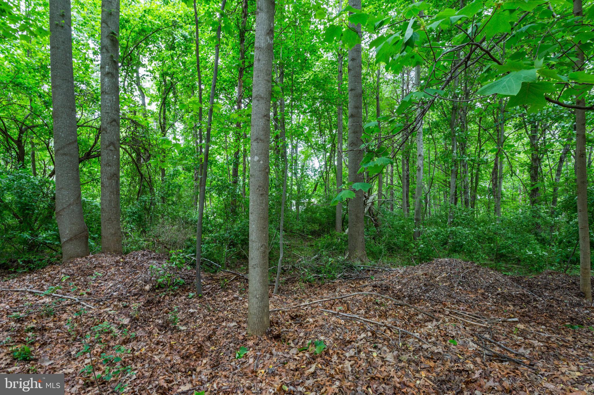 5211 Green Bridge Road Dayton, MD 21036 - Photo 6 of 6 Gallery Image 6