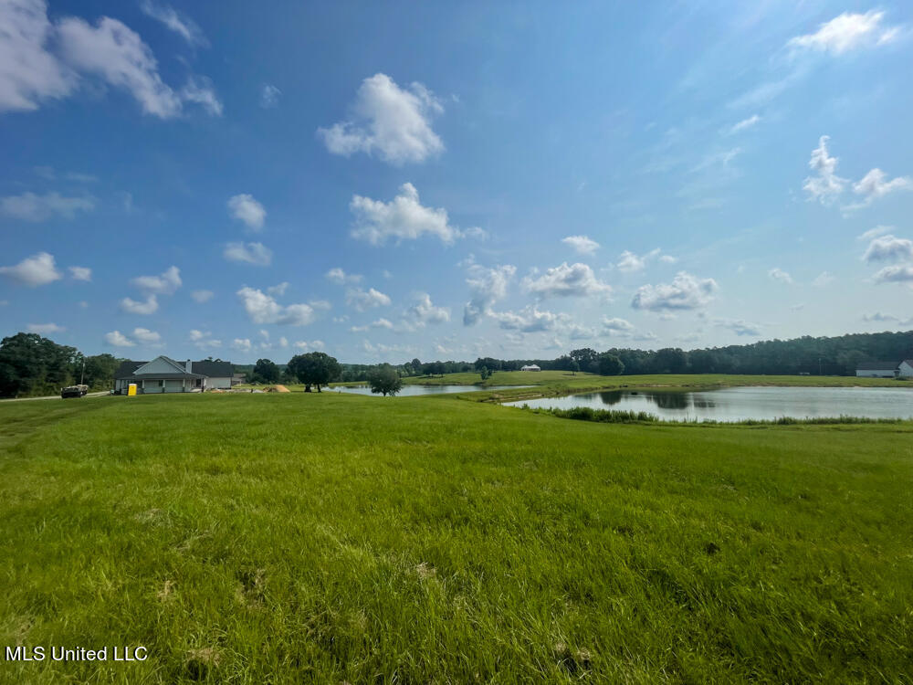 Lot 11 Conner Stringer Drive Lucedale, MS 39452 - Photo 29 of 54 IMG_2299
