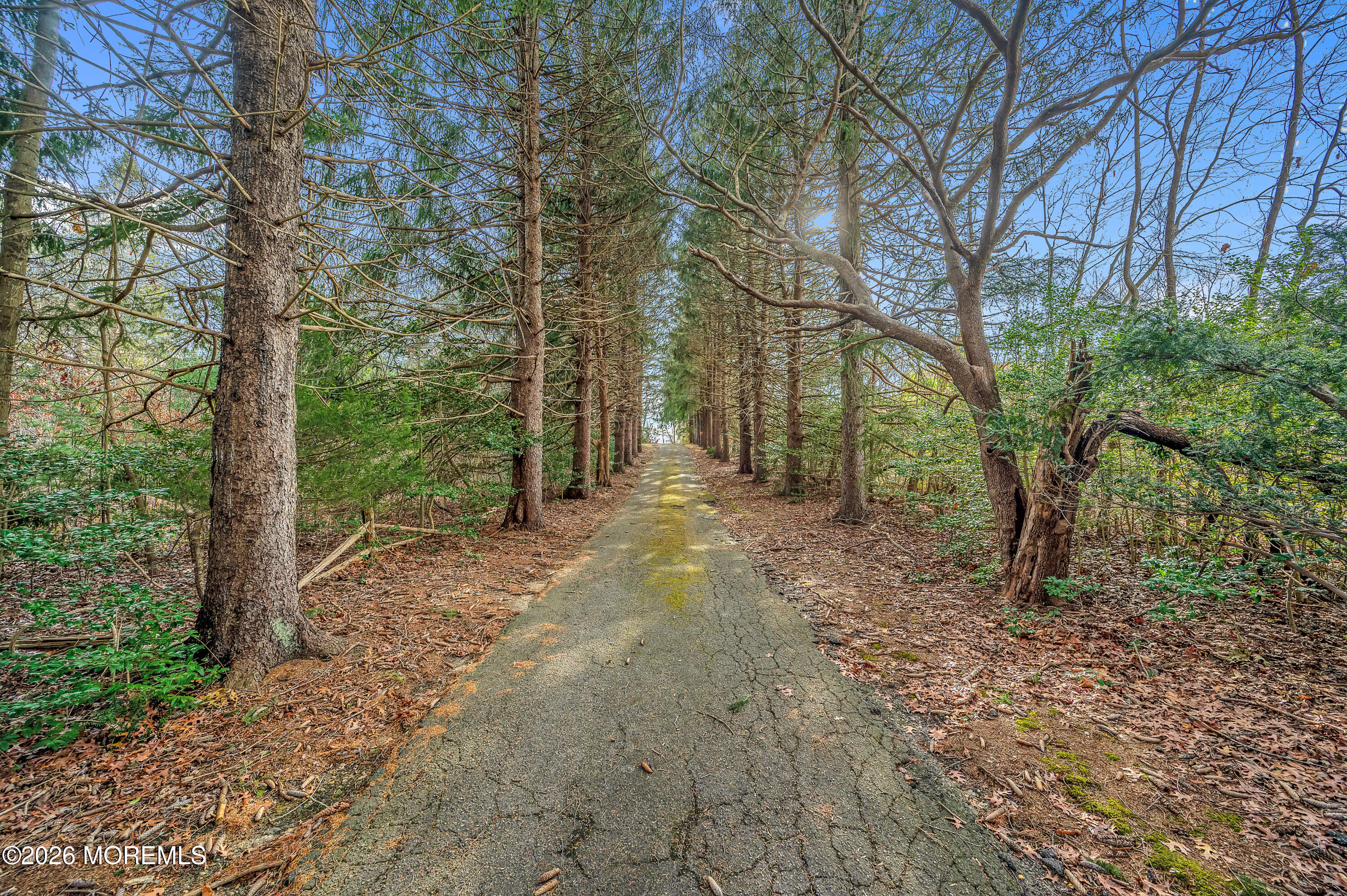 A920 Ridge Road Brick, NJ 08724 - Photo 8 of 10 a view of outdoor space and trees