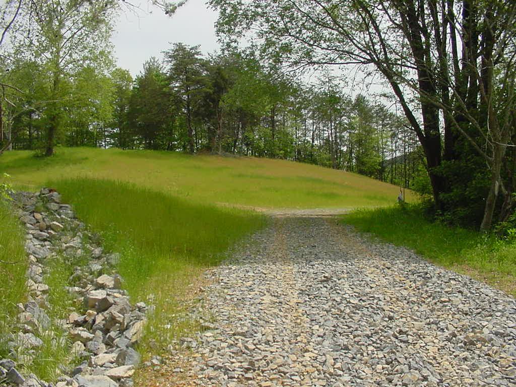 8038 Mayland Road Roanoke, VA 24014 - Photo 1 of 9 a view of a field with trees in the background