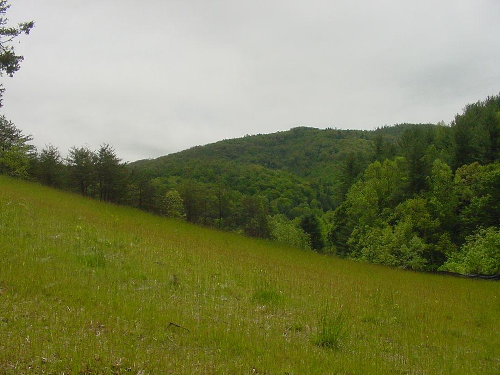 8038 Mayland Road Roanoke, VA 24014 - Photo 8 of 9 a view of a field with an ocean