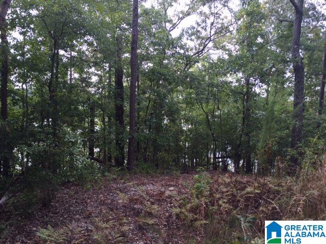 3291 County Road Wedowee, AL 36278 - Photo 6 of 7