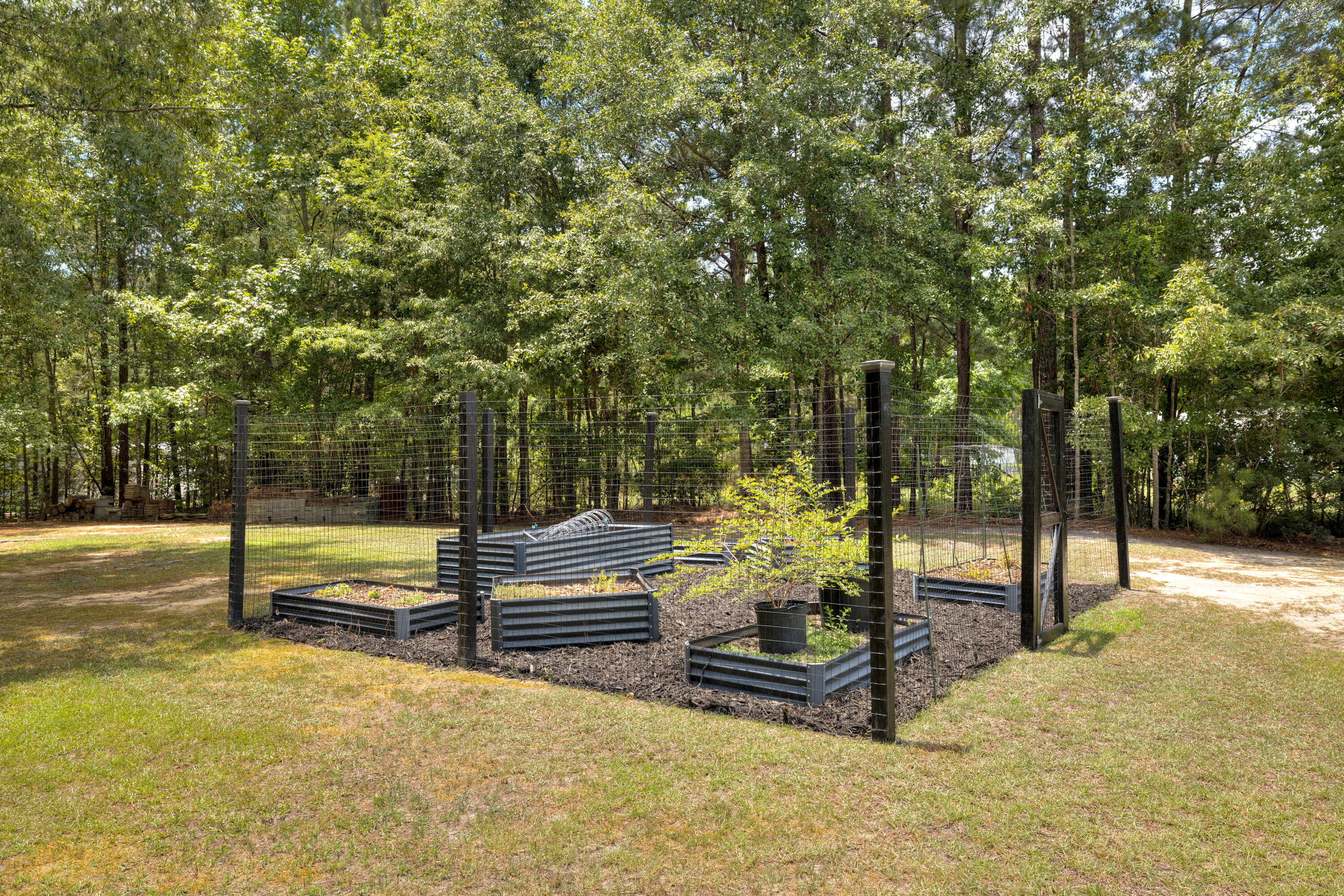 1090 Winding Pond Road Manning, SC 29102 - Photo 19 of 59 GARDEN
