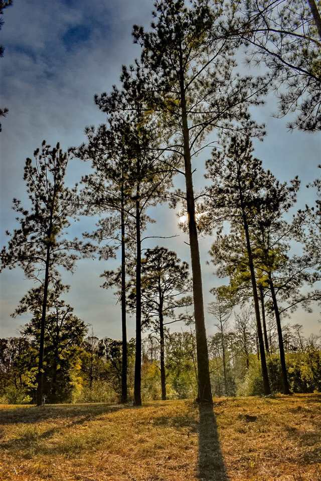Lot 39 Harbor Road Andalusia, AL 36421 - Photo 3 of 6 Gallery Image 3