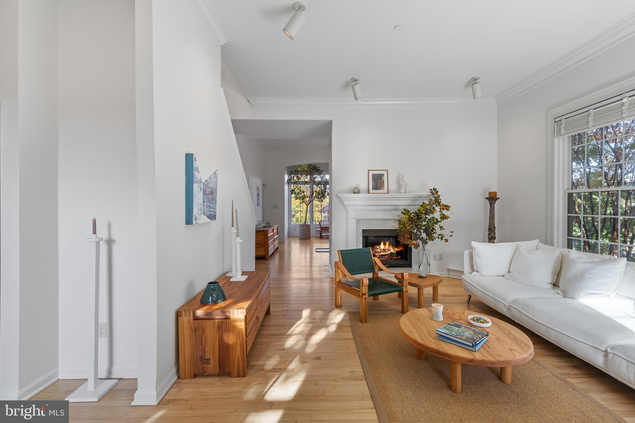 2 Southgate Avenue, Unit 10 Annapolis, MD 21401 - Photo 12 of 41 a living room with furniture and a potted plant