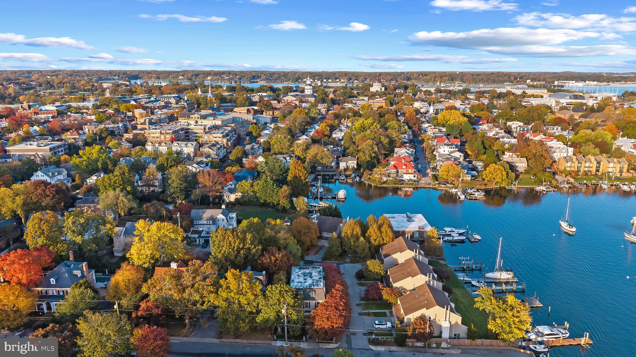 2 Southgate Avenue, Unit 10 Annapolis, MD 21401 - Photo 34 of 41 an aerial view of residential houses with outdoor space