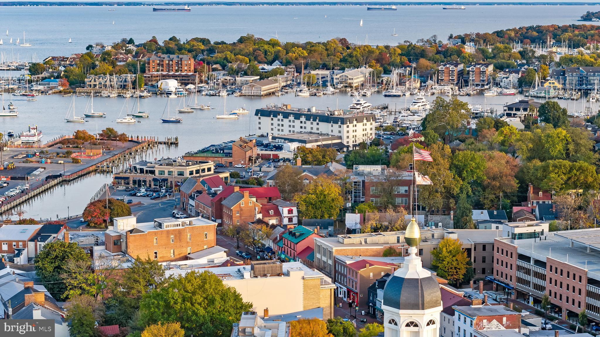 2 Southgate Avenue, Unit 10 Annapolis, MD 21401 - Photo 39 of 41 an aerial view of a houses with outdoor seating