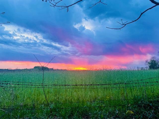 1597 Hoot Road Spencer, IN 47460 - Photo 9 of 31