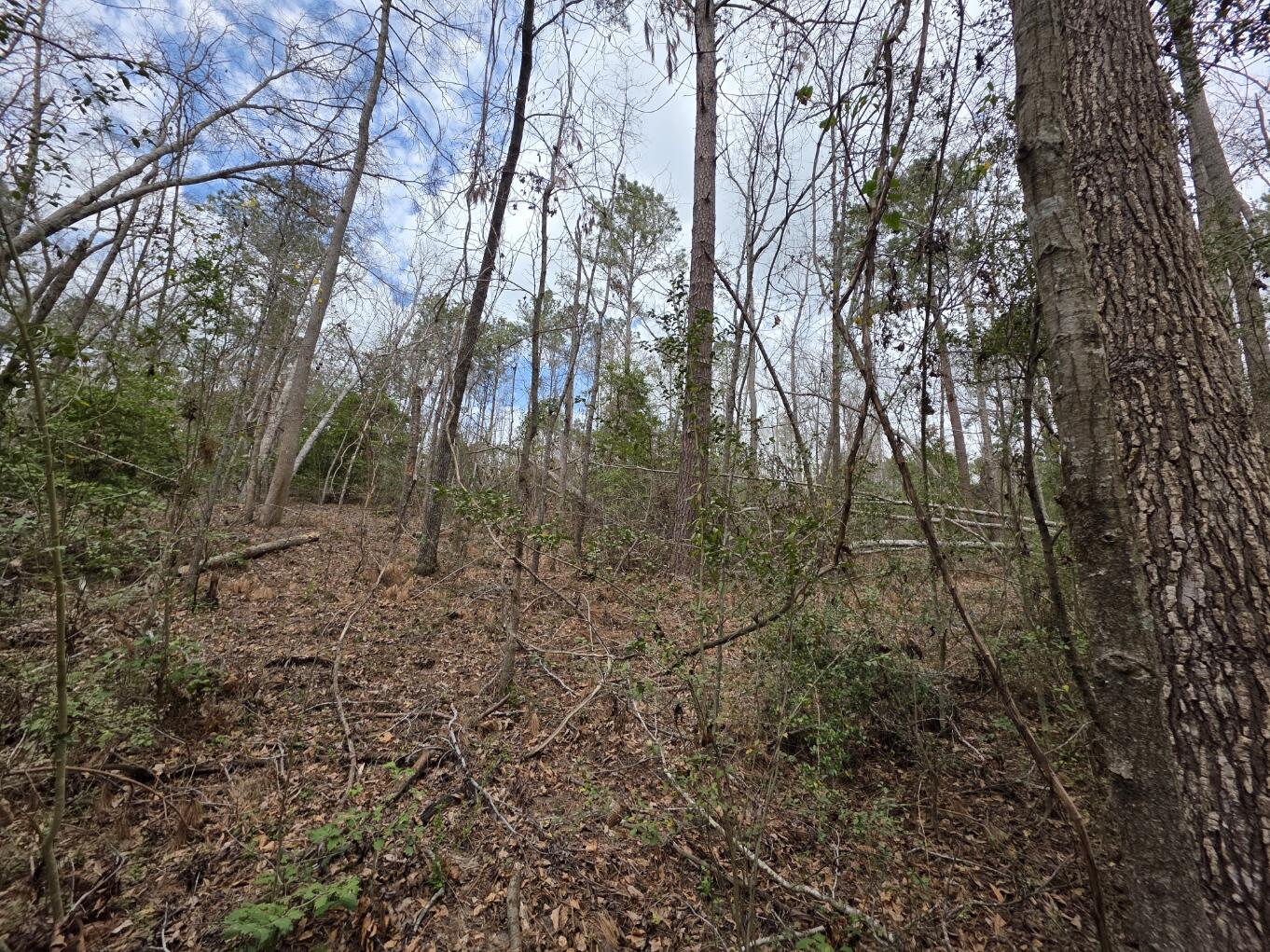 1894 McDade Road Augusta, GA 30906 - Photo 12 of 28 McDade7