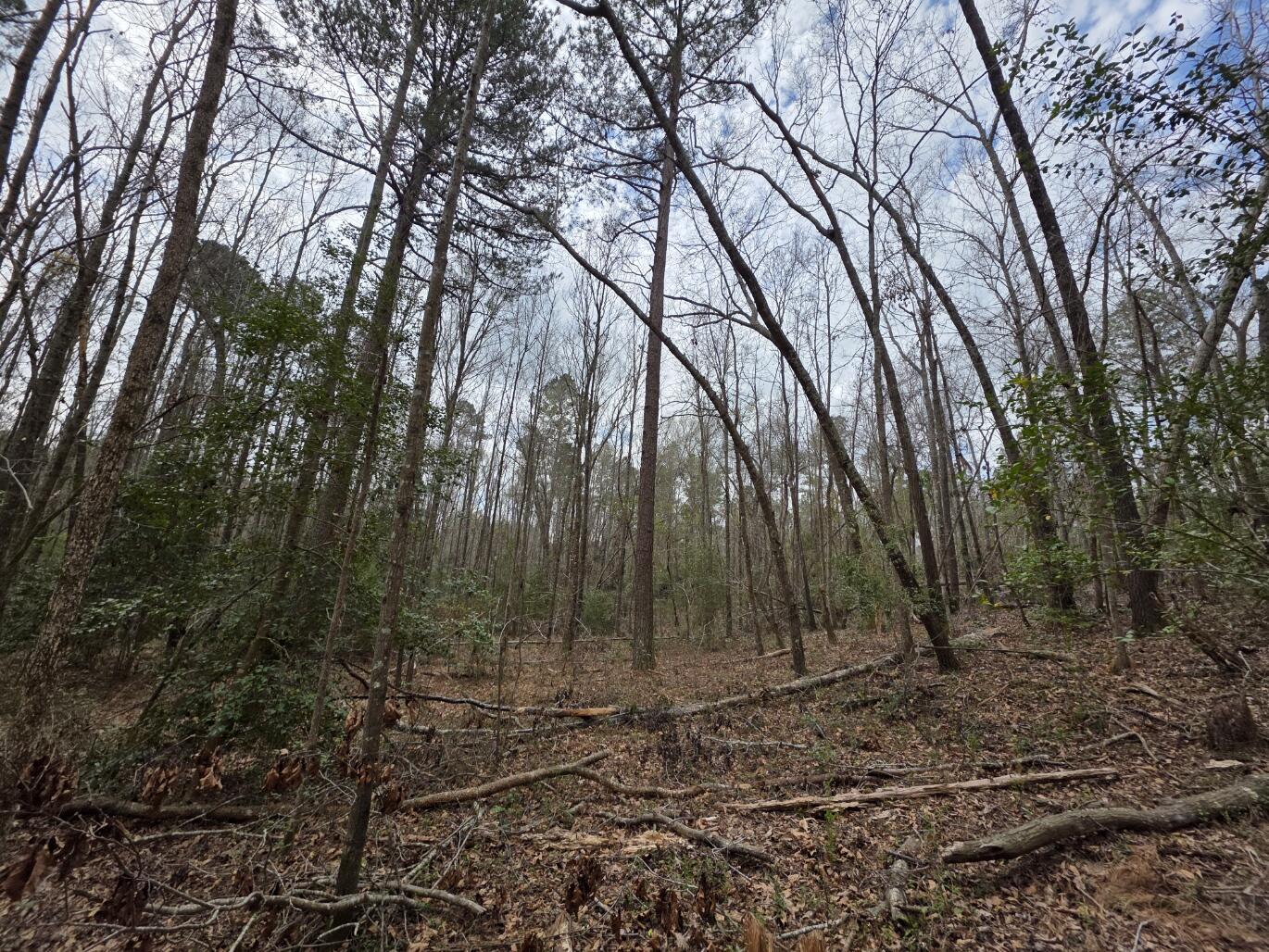 1894 McDade Road Augusta, GA 30906 - Photo 13 of 28 McDade6
