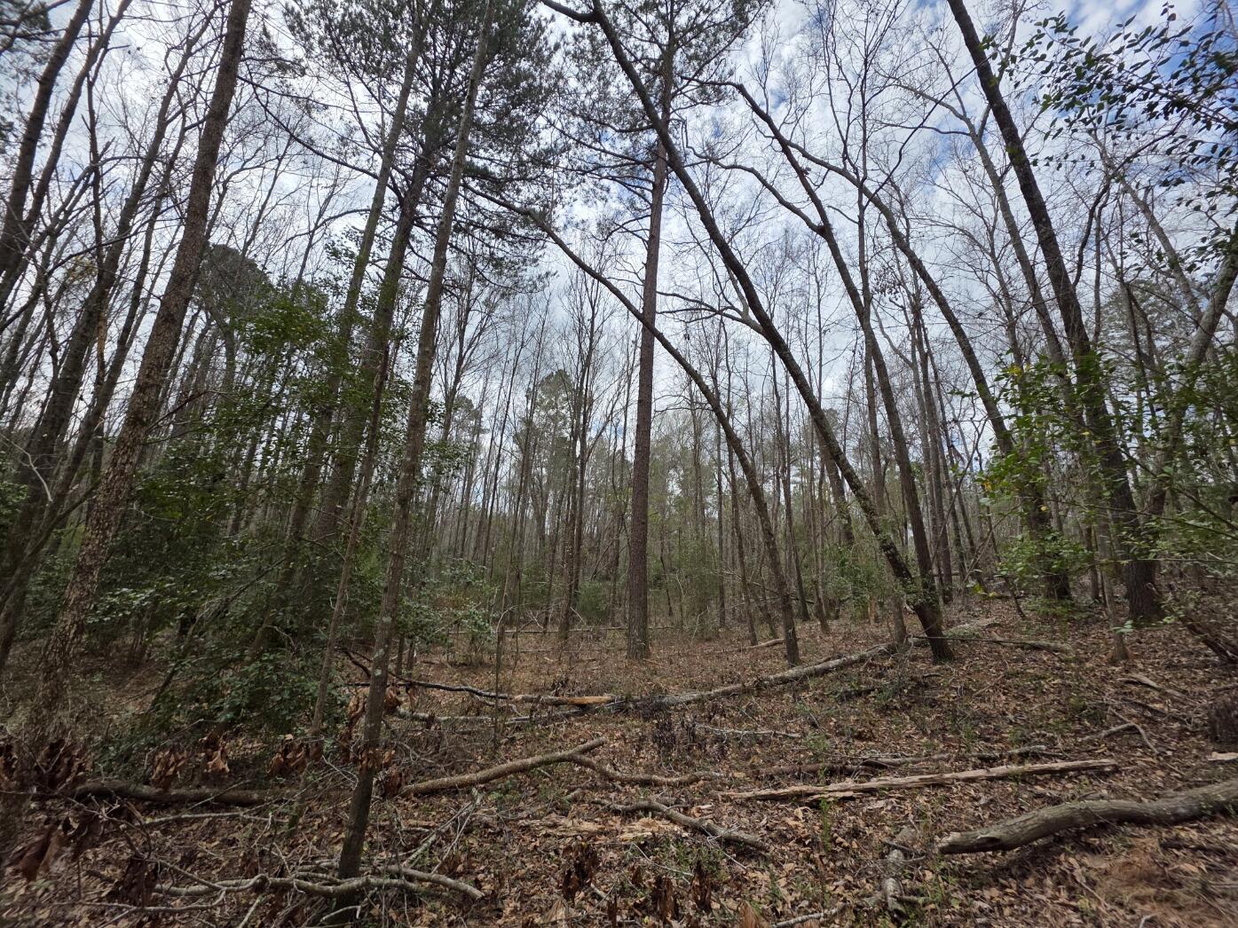 1894 McDade Road Augusta, GA 30906 - Photo 14 of 28 McDade5