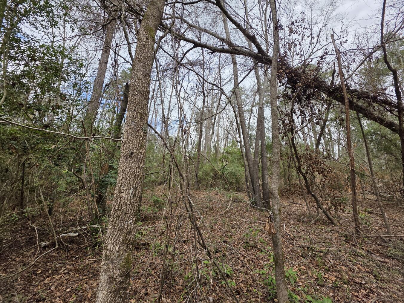 1894 McDade Road Augusta, GA 30906 - Photo 15 of 28 McDade4