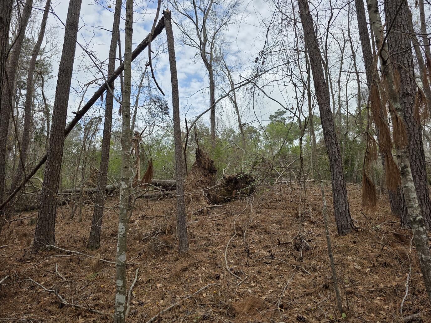 1894 McDade Road Augusta, GA 30906 - Photo 17 of 28 McDade2