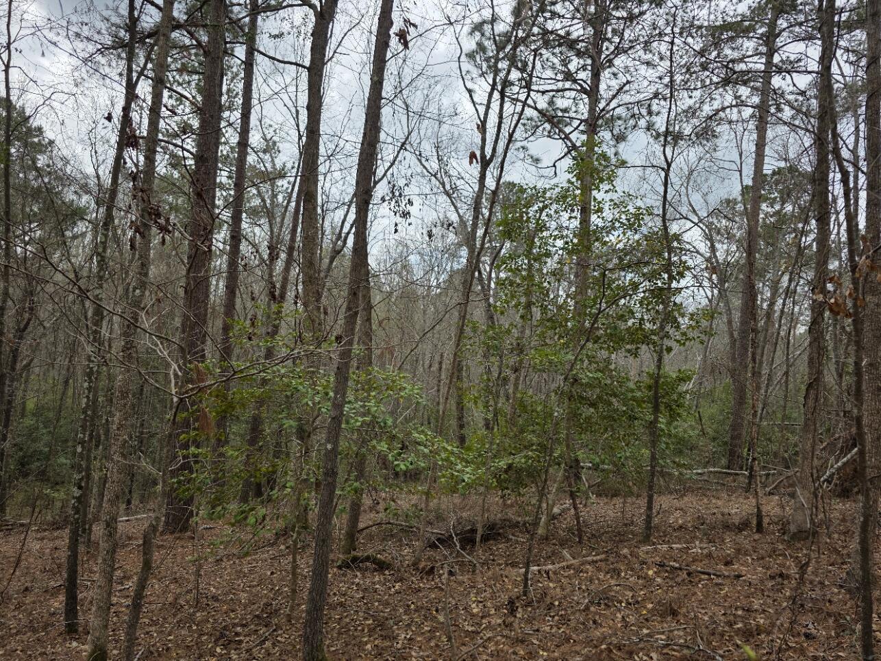 1894 McDade Road Augusta, GA 30906 - Photo 18 of 28 McDade1