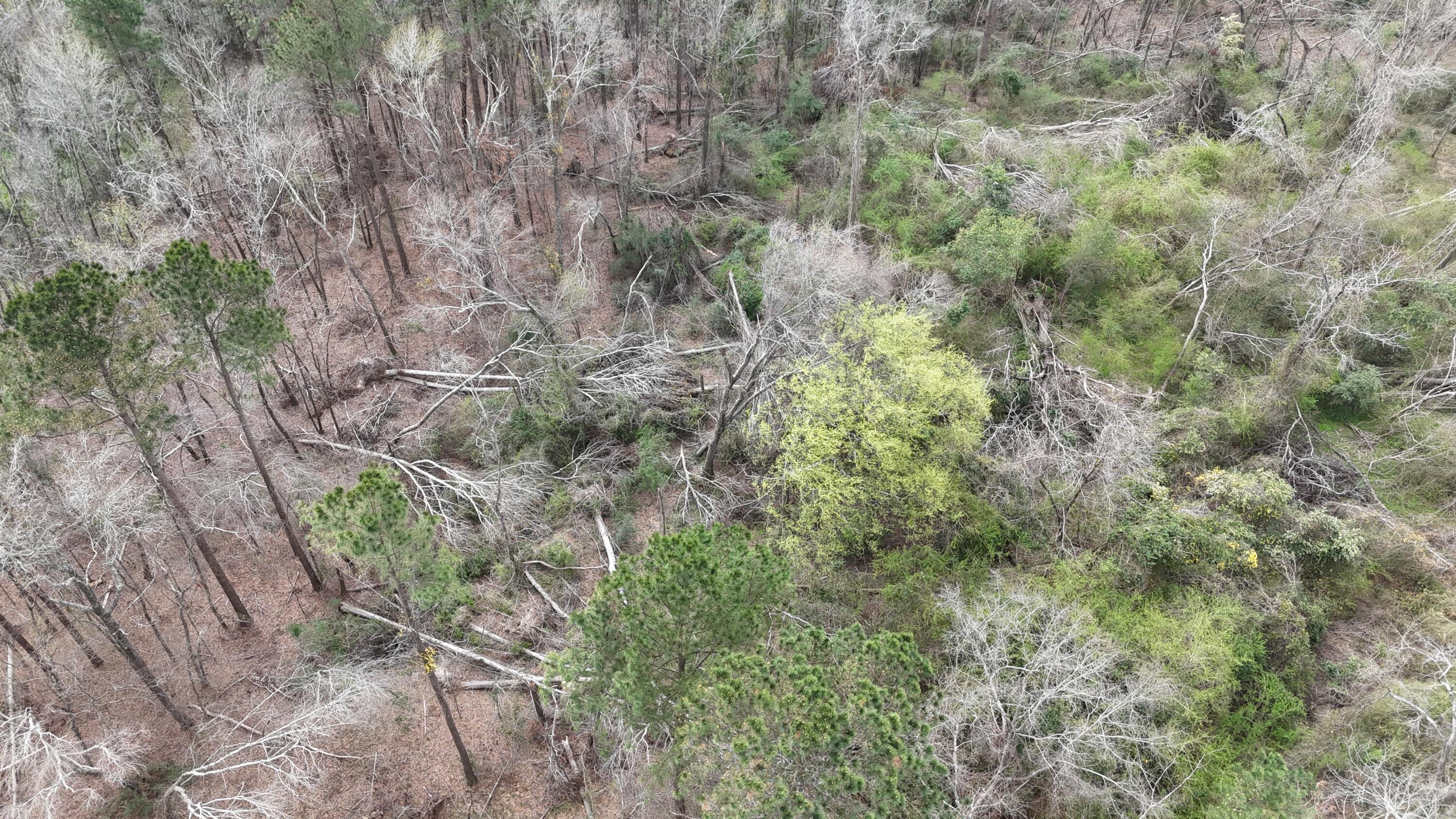 1894 McDade Road Augusta, GA 30906 - Photo 19 of 28 McDade Farm Aerial view