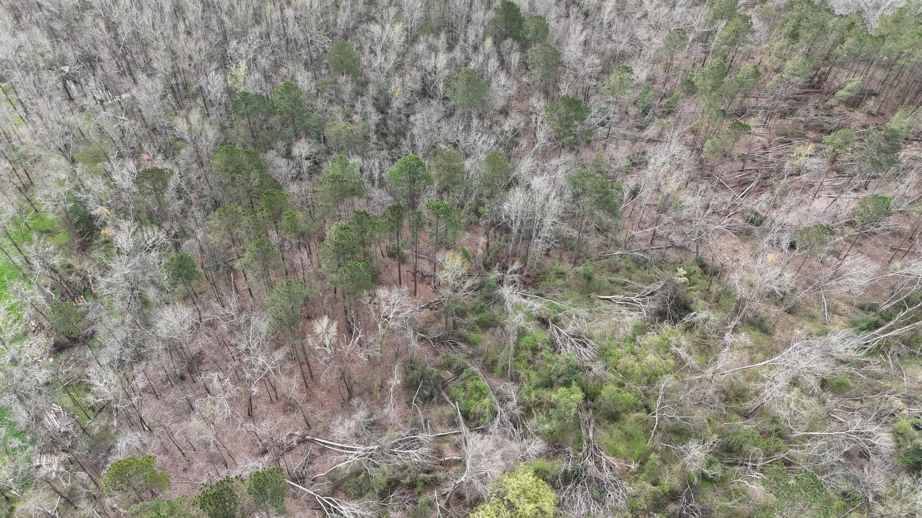 1894 McDade Road Augusta, GA 30906 - Photo 20 of 28 McDade Farm Aerial view2