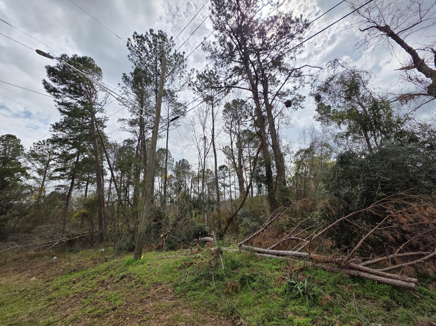 1894 McDade Road Augusta, GA 30906 - Photo 2 of 28 Front from the road