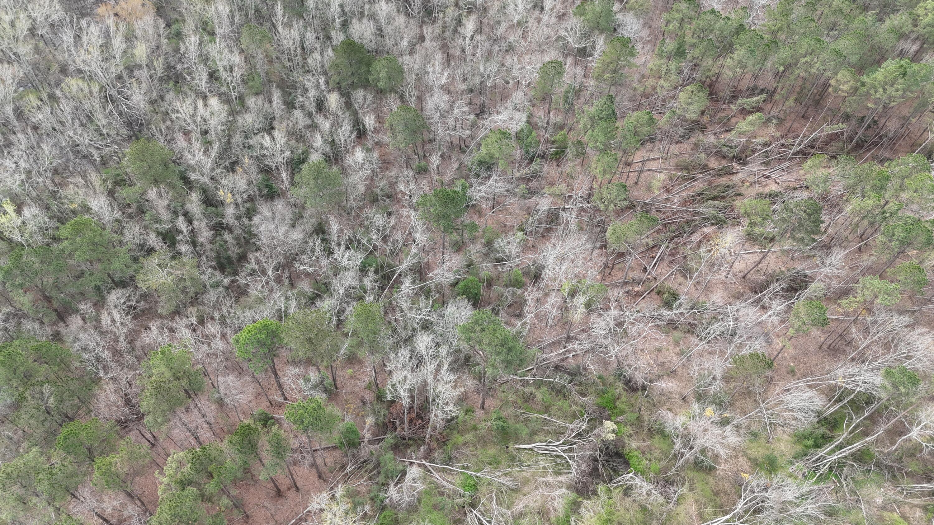 1894 McDade Road Augusta, GA 30906 - Photo 21 of 28 McDade Farm Aerial view3