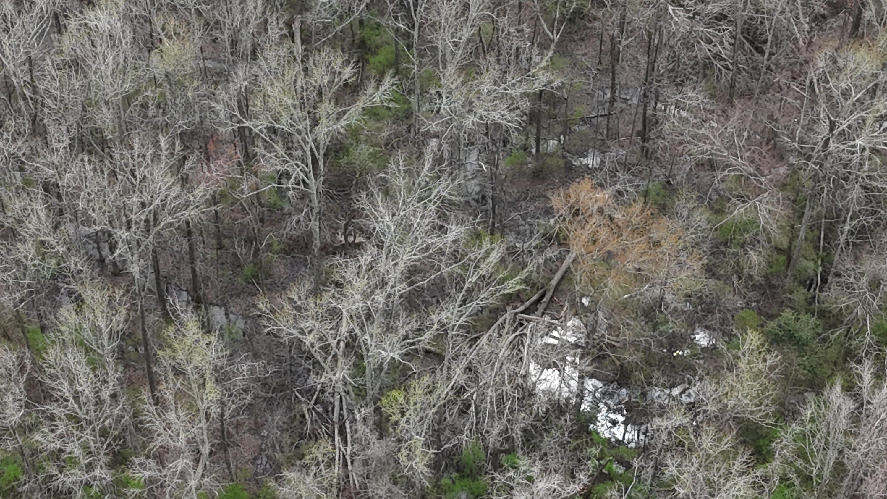 1894 McDade Road Augusta, GA 30906 - Photo 23 of 28 McDade Farm Aerial view5