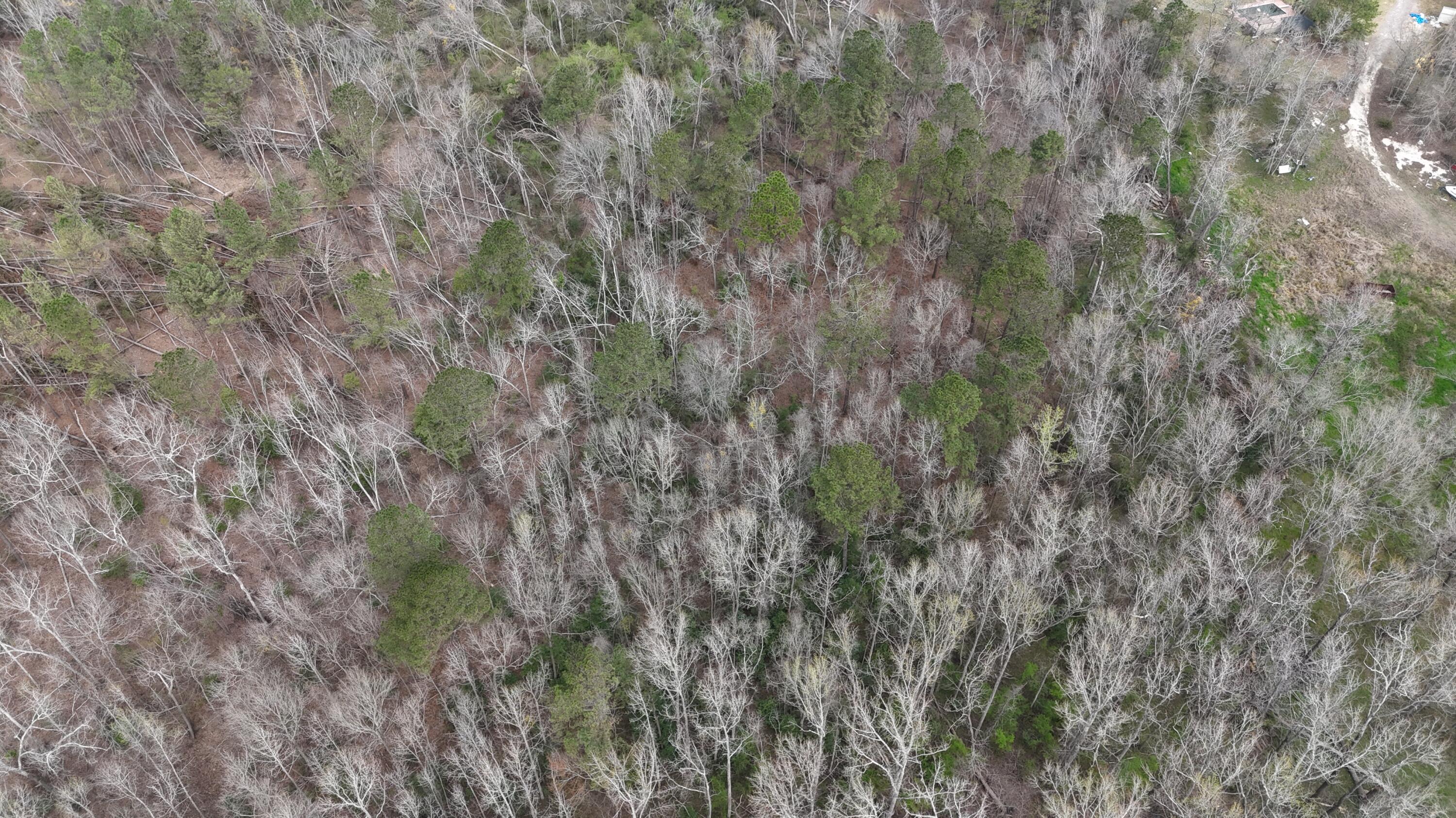 1894 McDade Road Augusta, GA 30906 - Photo 24 of 28 McDade Farm Aerial view6