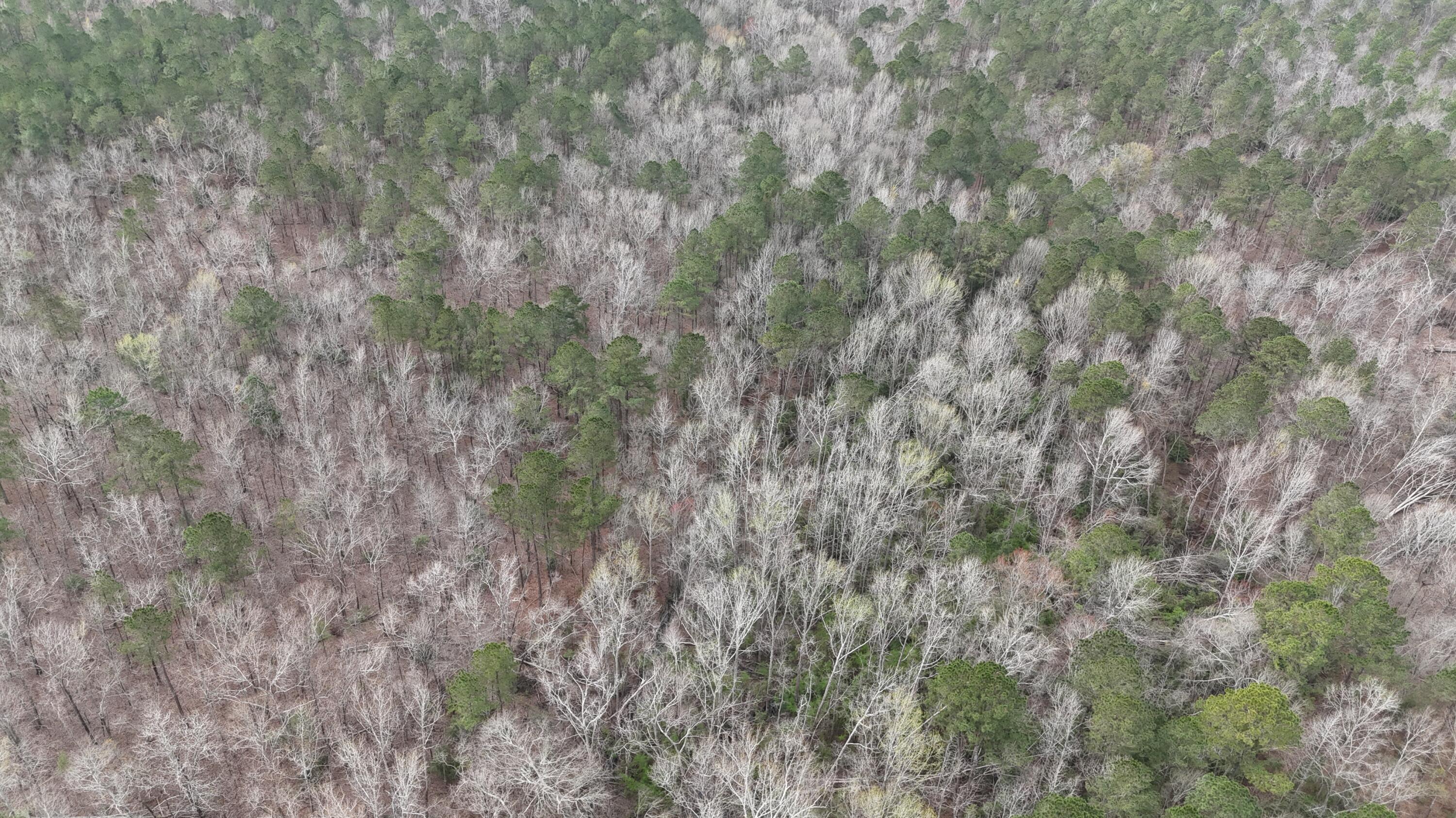 1894 McDade Road Augusta, GA 30906 - Photo 25 of 28 McDade Farm Aerial view7