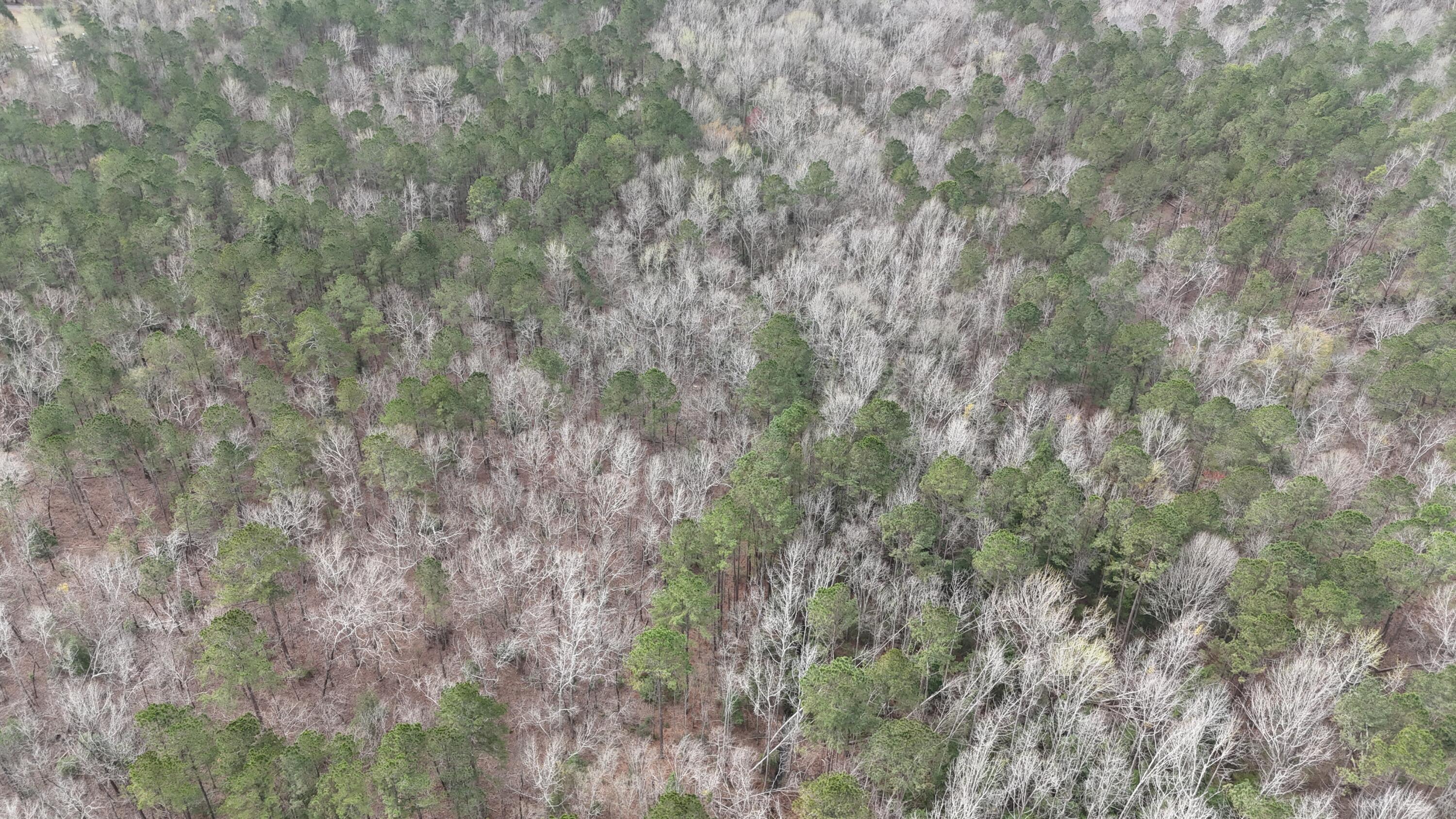 1894 McDade Road Augusta, GA 30906 - Photo 26 of 28 McDade Farm Aerial view8
