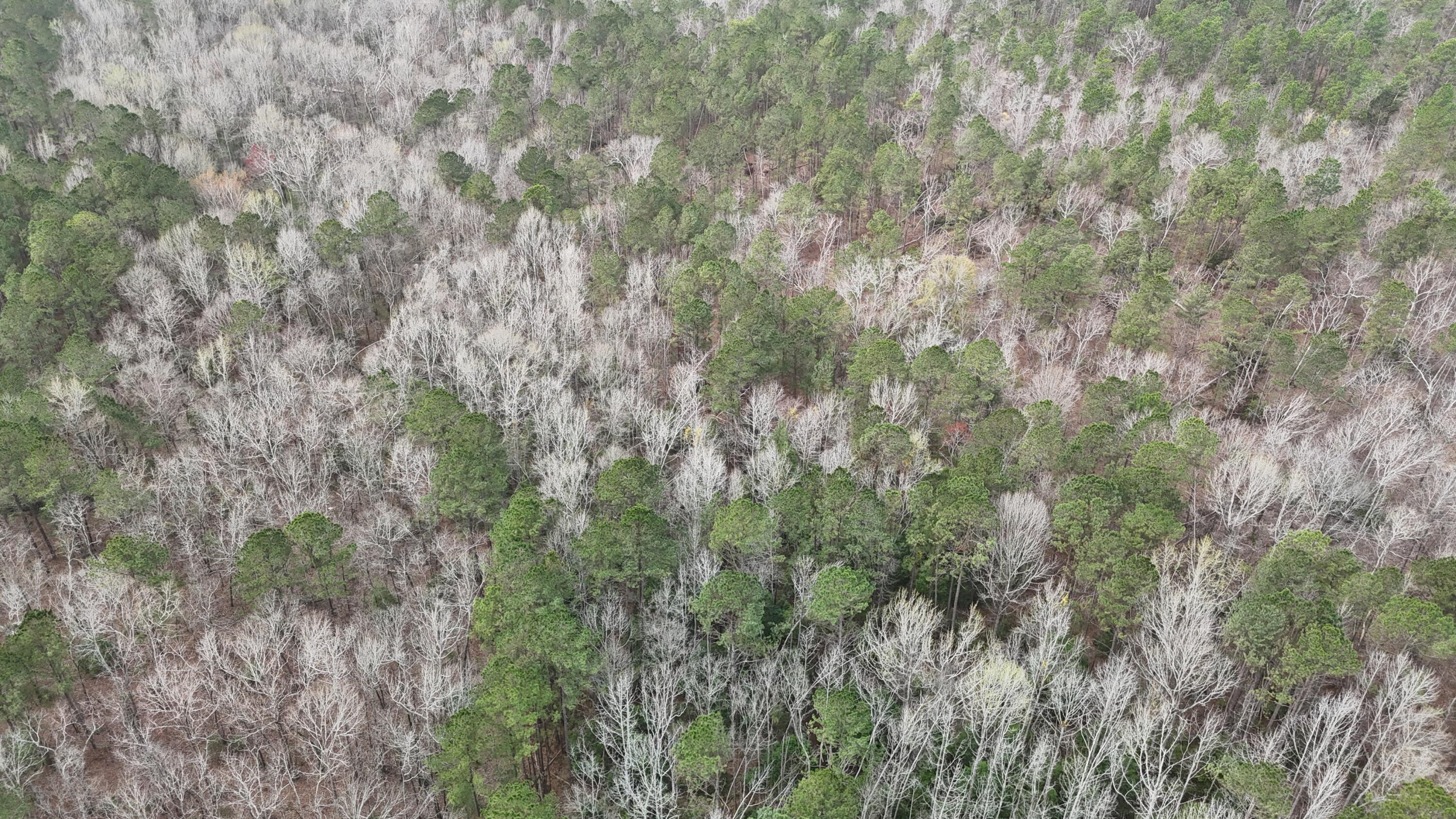 1894 McDade Road Augusta, GA 30906 - Photo 27 of 28 McDade Farm Aerial view9