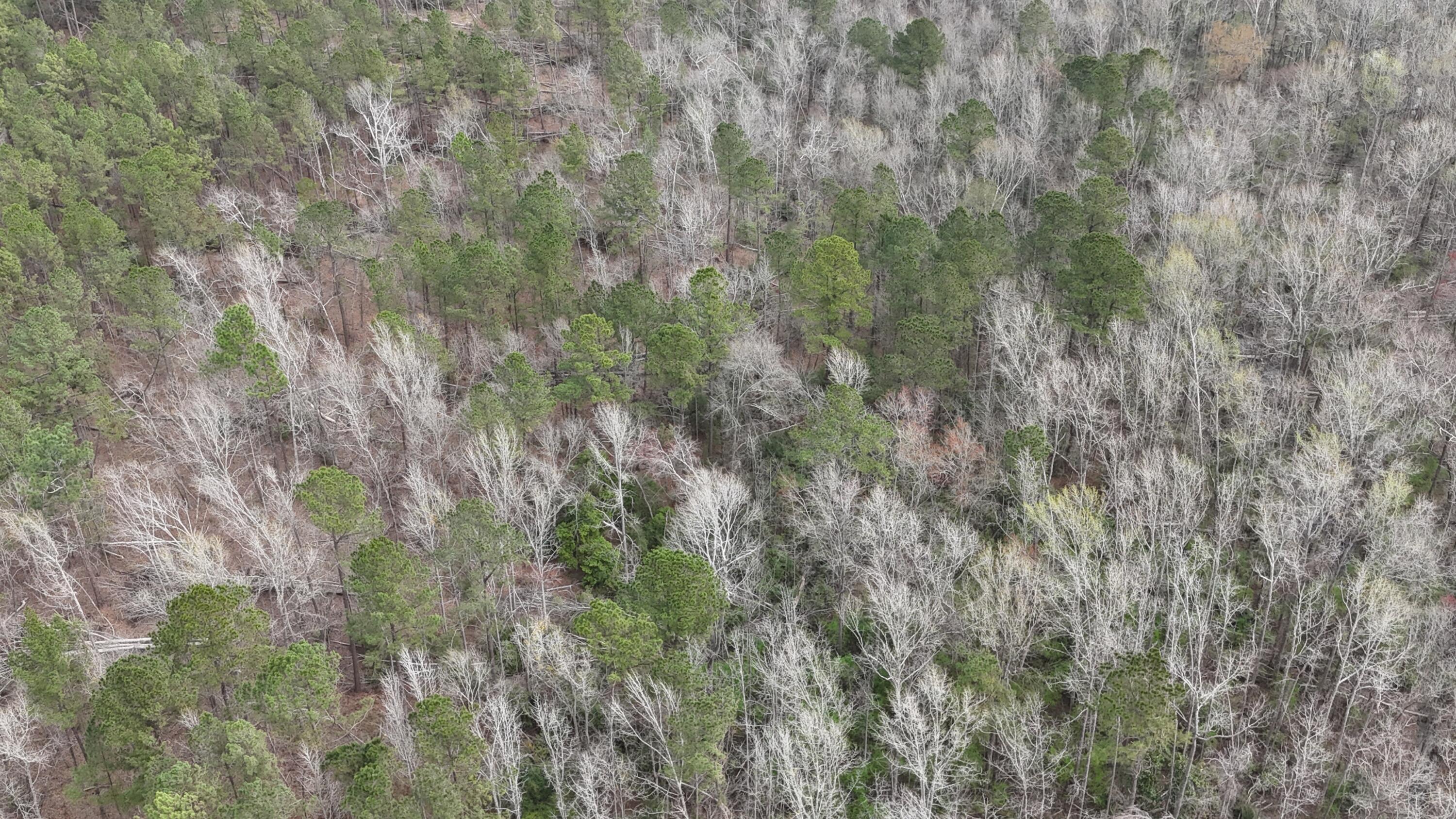 1894 McDade Road Augusta, GA 30906 - Photo 28 of 28 McDade Farm Aerial view10