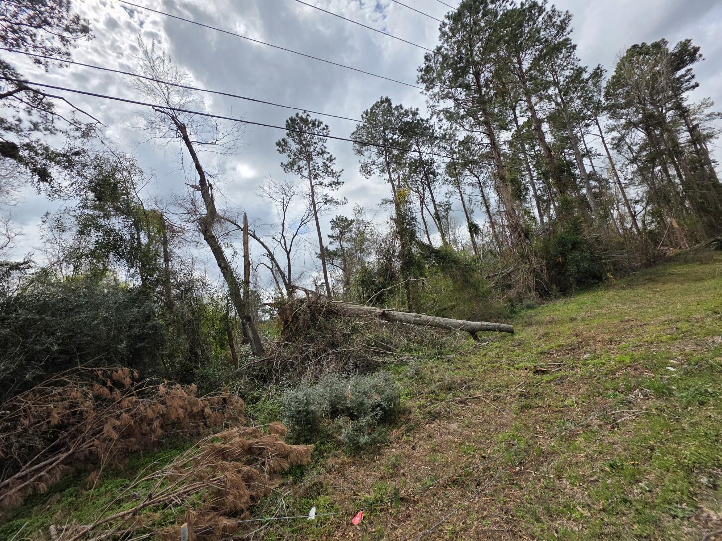 1894 McDade Road Augusta, GA 30906 - Photo 3 of 28 McDade from road3