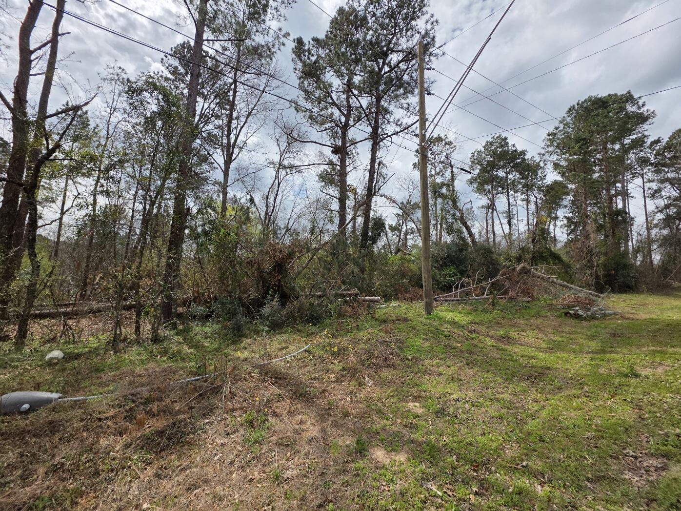 1894 McDade Road Augusta, GA 30906 - Photo 4 of 28 McDade from road2