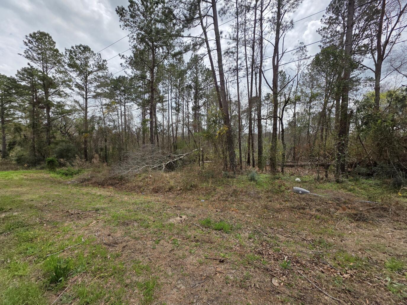 1894 McDade Road Augusta, GA 30906 - Photo 5 of 28 McDade from road