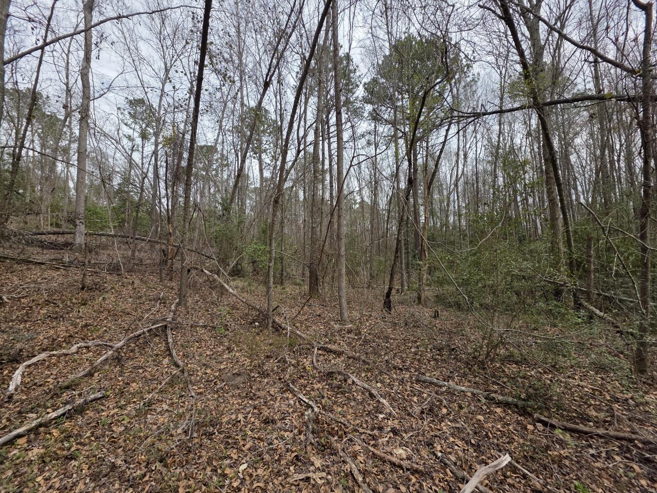 1894 McDade Road Augusta, GA 30906 - Photo 6 of 28 McDade14