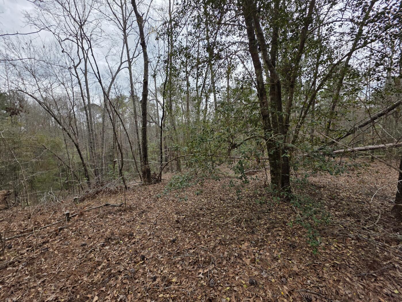 1894 McDade Road Augusta, GA 30906 - Photo 9 of 28 McDade10