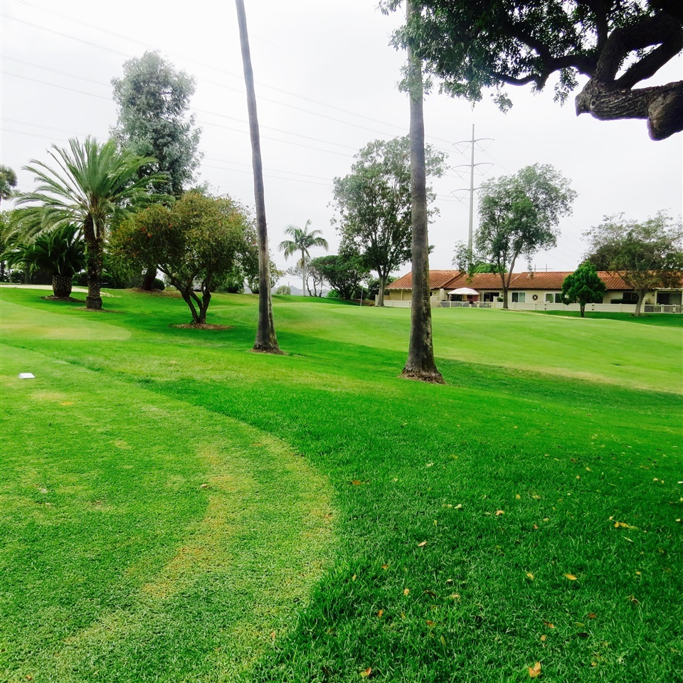 1742 Belle Meade Road Encinitas, CA 92024 - Photo 8 of 9 Gorgeous greens!