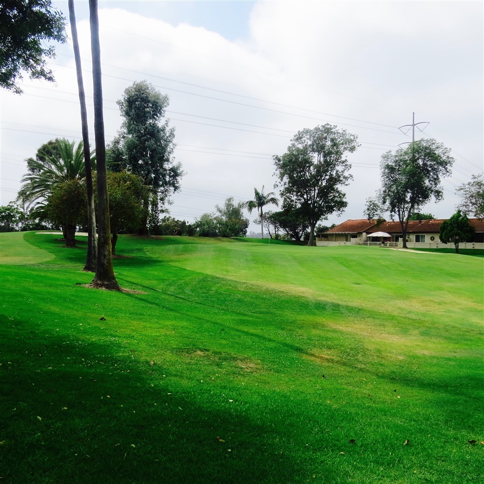 1742 Belle Meade Road Encinitas, CA 92024 - Photo 9 of 9