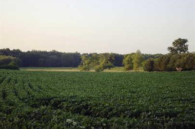 Ryan Road, Unit PAR 1 Hastings, MI 49058 - Photo 1 of 1 Primary Photo